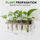 Wall Hanging Plant Propagation Station 15 Glass Test Tubes - Brown