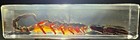 Large 4 3  Real Black Scorpion In Clear Lucite Resin Science Education Specimen