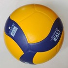 Mikasa V200w Volleyball Ball   Professional Volleyball Ball   Size 5