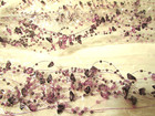 5  Multi 3-dimensional Mist Garland Lavender Beads