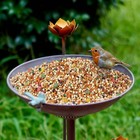 Diam 11 4  W X 32 3  H Cast Iron Pedestal Bird Bath  Bird Baths For Outdoors    