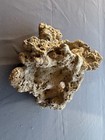 Caribsea South Sea Base Rock For Aquariums  4 Lbs