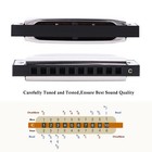 Easttop Diatonic Harmonica Set Of 12 10holes Blues Harmonica Lot Mouth Organ Set