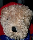 Dan Dee Collectors Choice Bear Plush 18  With Knitted Sweater - Used Condition -