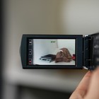 Sony Dcr-sx63 16 Gb Handycam Digital Camcorder  works But Hinge Issue 