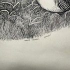 Marion Seawell Signed Original Pen Ink Drawing Bird Nest Mandala Folk Art 1977
