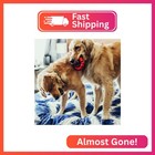 Kong Ring  Natural Rubber Chew Toy For Dental Health  For Small medium Dogs