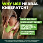 Wellnee Original Herbal Knee Patch - Wellknee Plaster For Knee Support   Musc   