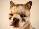 Bh6740 Hansa Wolf Pup 30