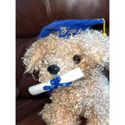 Ty Beanie Baby Pup Graduation Dog 2006 Class Plush Toy Diploma Cap