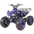 X-pro Leopard 125cc Atv Quad With Auto Transmission   Reverse  Big 19  18  Tires