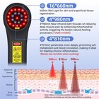 Medical Grade Class 4 Cold Laser Therapy Device 980nm For Pets Pain Relief Lllt