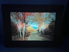 Vintage Helmscene Lighted Picture Framed 50s Mid Century Wall Art Rare Retro