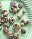 Lot Of 52 Vintage Antique Metal Brass Sewing Buttons Filigree Many Victorian Era