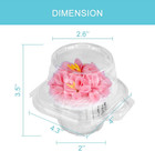50 Pcs Cupcake Boxes Plastic Individual Cupcake Containers Single Cupcake Carrie