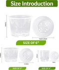 Oubest 6 7 6 5 4 3 5 Inch Clear Nursery Pots Variety Pack With Translucent 