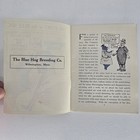 1920s Blue Hog Breeding Co Booklet Wilmington Ma Sapphire Pigs Uncle Sam Rare