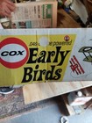 Early Bird Vintage Cox Focker Wolf Gas Powered And Teathered Airplane Model