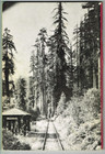 Tab Skunk Railroad California Redwood Train 2nd Edition 1965 Vintage Book Smokey