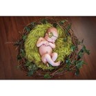 New Olive Mongolian Faux Fur And Wood Branch Nest Photography Prop