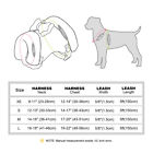 Cute Bow Small Dog Cat Harness And Leash Pet Puppy Warm Fleece Vest Coat Padded