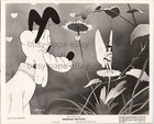1941 Springtime For Pluto Animated Movie Walt Disney Cartoon Press Kit Photo
