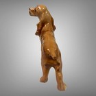 Rare Hard To Find Large Vintage Hagen Renaker Cocker Spaniel Figurine
