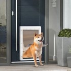 Dog Door Replacement Flap For Pet Safe Measures 16 7 8    X 10 1 8   pac11-11039 Usa