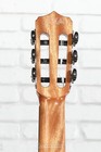 Cordoba Fusion 12  Nylon String Acoustic Guitar - Cedar