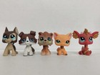 5pcs lot Littlest Pet Shop Figure Lps Cat Dog Dragon  817 2141 1643 2484 Kid Toy