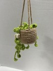 Crochet Hanging Plant For Car  Cute Car Plantccessories  Knitted Plant Car A