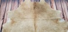 Beige Cowhide Rug Light Brazilian Natural Authentic Hair On Hide 6 2ft X 6 2ft