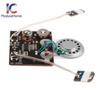 1-100pcs 30s Greeting Card Diy Recordable Voice Chip Music Box Sound Module