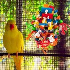 Bird Chewing Toy For Small   Medium Parrots  Wood Blocks   Rope