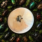 Large Victorian  Metal  Beetle  Scarab On  Pearl Button   1  5 16  Free Shipping