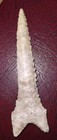 Dalton Drill Bit Spearhead Projectile   Indian Arrowhead