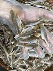 Sealed Sun Dried Yellow Croaker Fish 500g  kho Ca Lu Du 