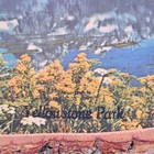 Vintage Yellowstone Park Wood Slab Wall Art Scenic Mountain Usa K Special 60s