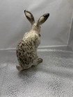Winstanley Arctic Hare In Nibbling Pose Size 2 With Glass Eyes