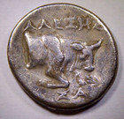 Ancient Greek Samos Ionia Ar Didrachm Coin 310-320 Bc Lion Bull Leontiskos 6 43g