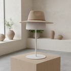 Hat Display Stand Countertop Hat Display With Round Base Stable For Collectors