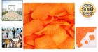 2000 Count Vibrant Orange Silk Rose Petals For Wedding Decor   Party Elegance