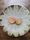 Beautiful Rare Color Sea Glass 2pcs  Surf Tumbled  Weathered  Beach Glass  123