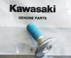 Kawasaki Oem Engine Kick Start Lever Mounting Bolt For Kx250f  Kx450f  Klx450r 