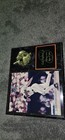 Cal Ripken Jr Autographed Picture Plaque