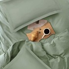 Sage Green 2 Pack Pillow Shams Set Standard Size  20x26 Inch