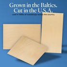 Baltic Birch Plywood  3 Mm 1 8 X 12 X 16 Inch  B bb Grade Sheets  Woodpeckers