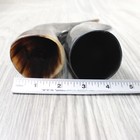 2 Small Polished Cow Horns  9156    Natural Colored