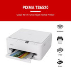 Canon Pixma Ts6520 Wireless Color Inkjet Printer  Duplex Printing  Copier scanne