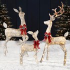 3d Christmas Reindeer 3piece Prelit Christmas Deer Family Set Outdoor Lawn Decor